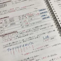m87480166744_1.jpg?1676874615