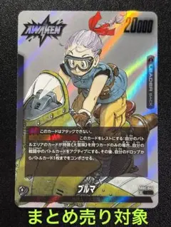 まとめ売り対象 ブルマ リーダーカード