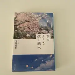 桜のような僕の恋人
