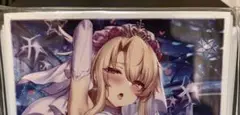 イリヤスフィール・フォン・アインツベルン　スリーブ