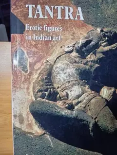 Item thumbnail for item 5fada49b-0d5f-4273-84a9-753238dcc172