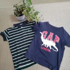 Polo Ralph Lauren & baby GAP ２枚 セット