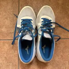 Mizuno Synchro SL 2