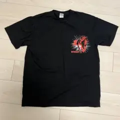 JRA WINSDAY 2023年　Tシャツ Lサイズ