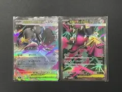 メガクチートex 2枚