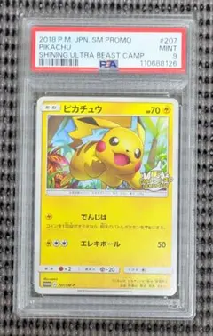 ふ*ー様 【プロモカードセット+α！】ポケモンパンプロモ+ウルトラビーストキャン ふ*ー様 【プロモカードセット+α！】ポケモンパンプロモ+