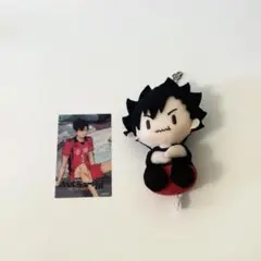 ハイキュー 黒尾鉄朗 座ぬい 満腹ver.