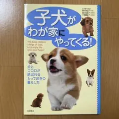 子犬がわが家にやってくる!