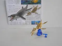 ♯Kui14IZカプセルQ恐竜発掘記プレシオサウルス全5種 Amazon.co.jp: Kui14IZカプセルQ恐竜発掘記プレシオサウルス全5