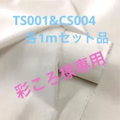 接着芯地 TS001&CS004W 各1mセット