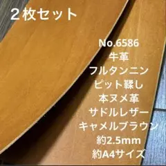 Item thumbnail for item 99029e98-f321-4bad-8f3e-959b03bac60e