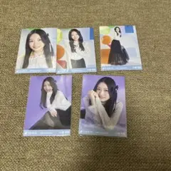 乃木坂46生写真小津玲奈　13thアニバ5種コンプ