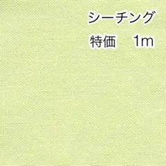 ラスト 特価 1m 無地 パステルライムグリーン シーチング