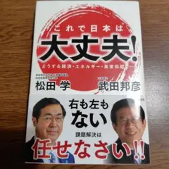 これで日本は大丈夫! : どうする経済・エネルギー・皇室伝統……
