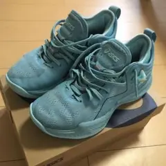 バスケットボールバッシュ