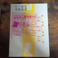 イーブイヒーローズ　未開封