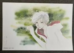 愛蔵版 蛍火の杜へ【特典】リバーシブルイラストカード　ギン　緑川ゆき