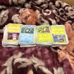 ポケモンカードノーマルのみ
