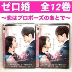 ゼロ婚～恋はプロポーズのあとで～ DVD 全12巻 シュ・ルオハン