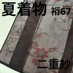 夏物 夏着物 裄67 正絹 紗織 二重紗 上品な色味 着物　U-8019