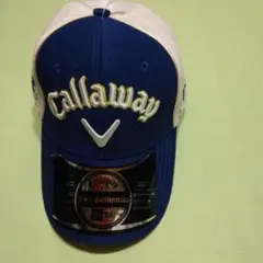 Item thumbnail for item 29633a21-2826-4271-8f64-88135db1c366