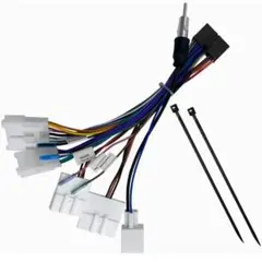 Item thumbnail for item 49748dad-5713-4d97-b417-ba60a33a56d6