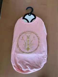 Item thumbnail for item 45cc7cd2-add4-4101-9449-77157cfa43af