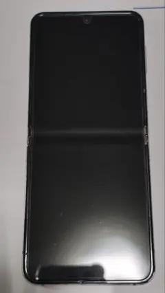docomo Galaxy Z Flip5 256GB ミント 本体