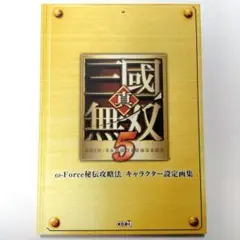 真・三国無双５　特典 　キャラクター設定画集　非売品　コーエー　三國無双
