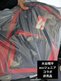 大谷翔平ネイビーとレッドのeccコラボリュック 約W28×H38×D16cm