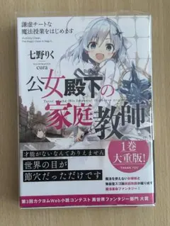 公女殿下の家庭教師　美品　ライトノベル