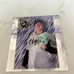 Item thumbnail for item c8b0299d-ce16-486d-a170-cb8bed26ba7f