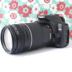 Item thumbnail for item 9165452e-d101-4066-8ee6-350a5bcfa55d
