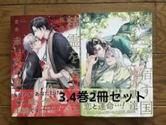 精霊を宿す国 3.4巻2冊セット 佐伊