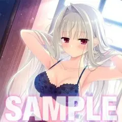 [タイムセール]シャルル・マロース 　B2夕ペストリー