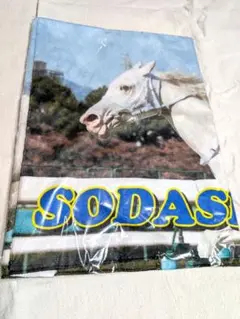 SODASHI　タオル