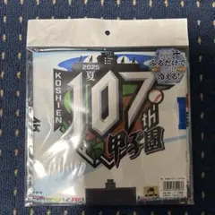 2025年107回甲子園クールタオル
