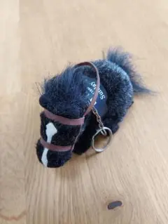 Item thumbnail for item ef04dfef-6e33-4090-970b-fbf94784ccc0