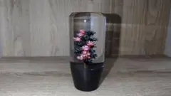 Item thumbnail for item d733955c-610d-41a1-b93a-de9b59cc131c