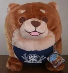 忠犬もちしば つな スクっとBIG ぬいぐるみ タグ付