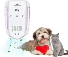 Item thumbnail for item 7ea56ba5-9f03-4bd5-9c1e-263ba94b5c00