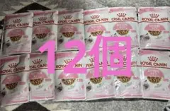 Item thumbnail for item b79b7552-e632-421b-bed7-d8a2a7737735