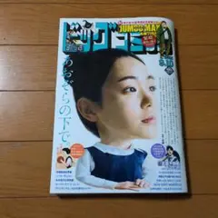 ビッグコミック17