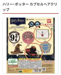 ハリーポッターカプセルヘアクリップ　2種セット