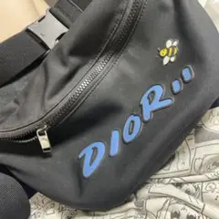希少✨美品　Dior × KAWS ディオール　カウズ　ボストンバッグ 22-0418-01.jpg