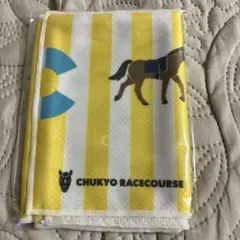 JRA中京競馬場非売品タオル