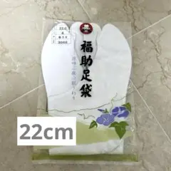 Item thumbnail for item c406c4f1-a28e-4945-9beb-9a49a38ebdb7