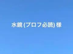 専用