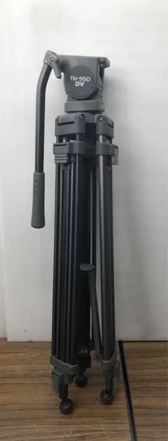 Item thumbnail for item df9cbe8a-3df3-42d6-a6bf-018b206ce60b