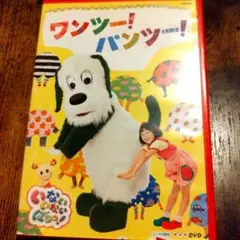 いないいないばぁっ！　ワンツー！パンツー！　DVD